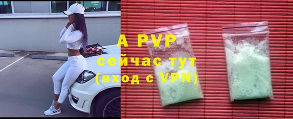 гидра Аркадак