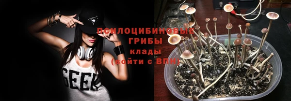 бошки Арсеньев