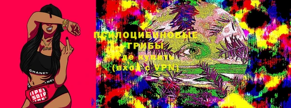 гидра Аркадак