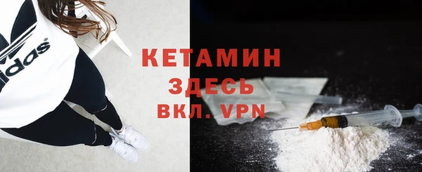 гидра Аркадак