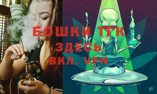 гидра Аркадак
