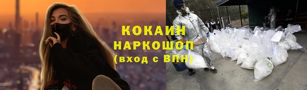 гидра Аркадак