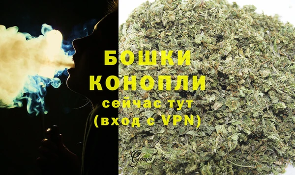 бошки Арсеньев
