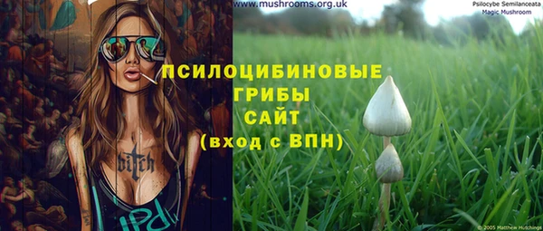 гидра Аркадак
