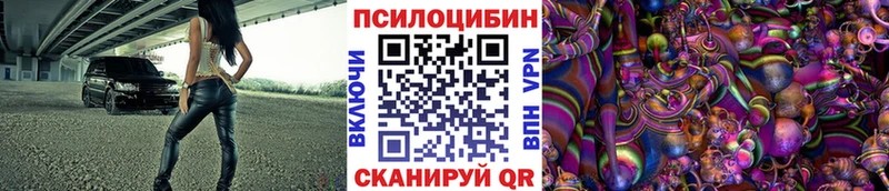закладка  Александровское  Галлюциногенные грибы Psilocybine cubensis 
